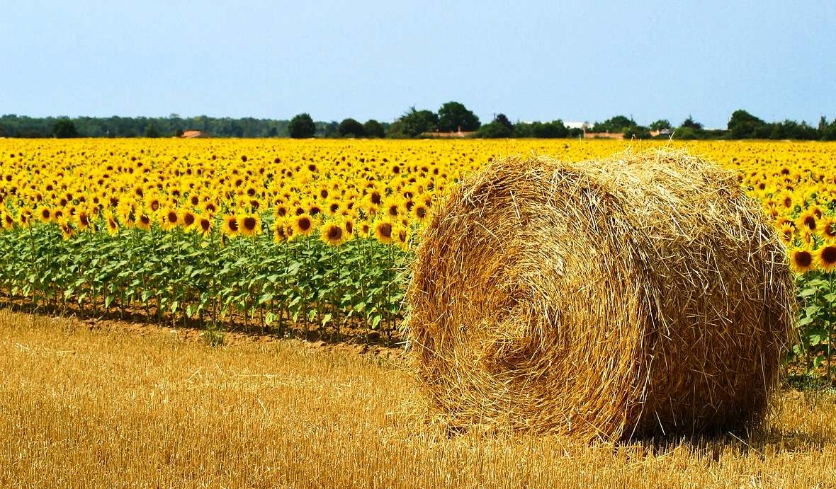 Описание изображения 4